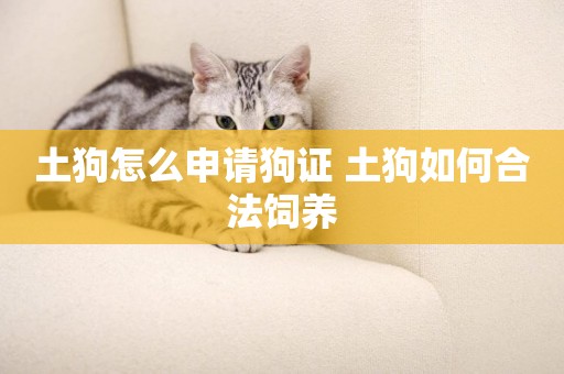 土狗怎么申請狗證 土狗如何合法飼養