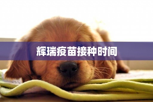 輝瑞疫苗接種時間