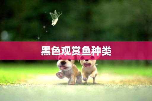 黑色觀賞魚種類