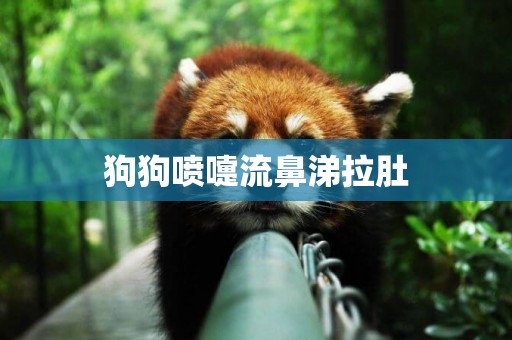 狗狗噴嚏流鼻涕拉肚