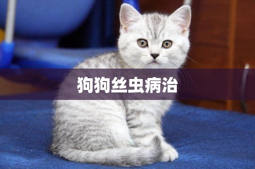 狗狗絲蟲病治