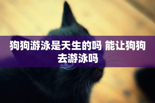 狗狗游泳是天生的嗎 能讓狗狗去游泳嗎