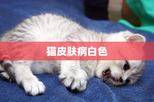 貓皮膚病白色
