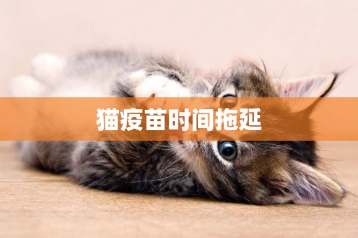 貓疫苗時間拖延
