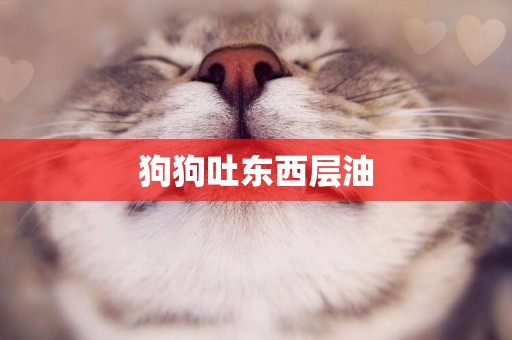 狗狗吐東西層油