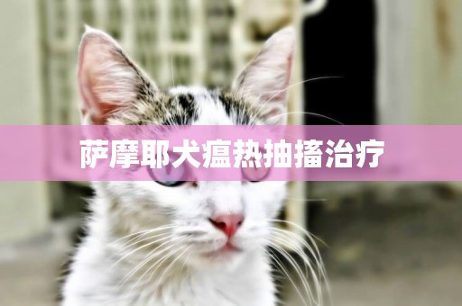 薩摩耶犬瘟熱抽搐治療