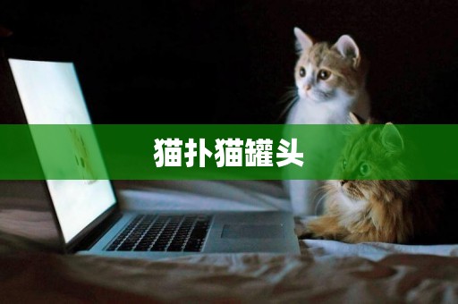 貓撲貓罐頭