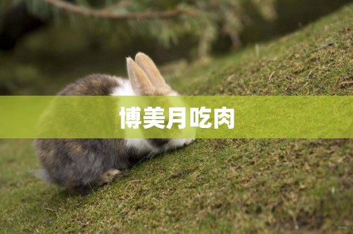 博美月吃肉