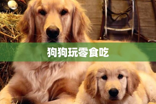 狗狗玩零食吃
