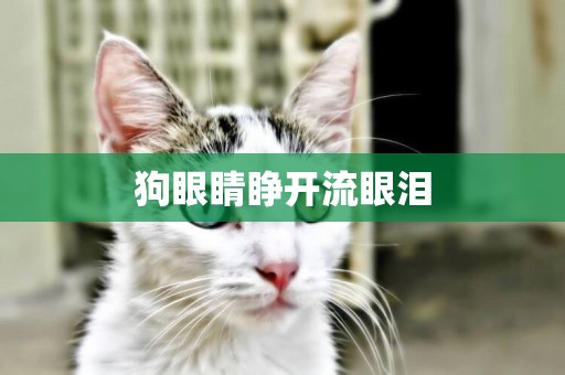 狗眼睛睜開流眼淚