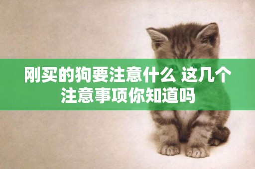 剛買的狗要注意什么 這幾個注意事項你知道嗎 剛買的狗要注意什么 這幾個注意事項你知道嗎