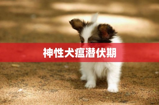 神性犬瘟潛伏期