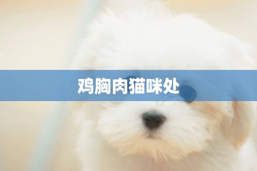 雞胸肉貓咪處