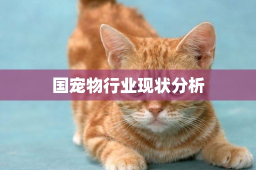 國寵物行業現狀分析