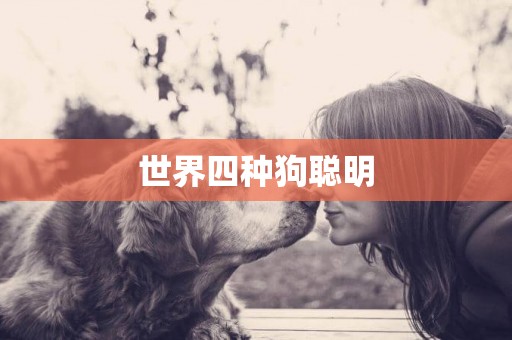 世界四種狗聰明