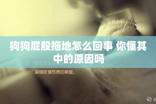 狗狗屁股拖地怎么回事 你懂其中的原因嗎