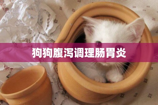 狗狗腹瀉調理腸胃炎