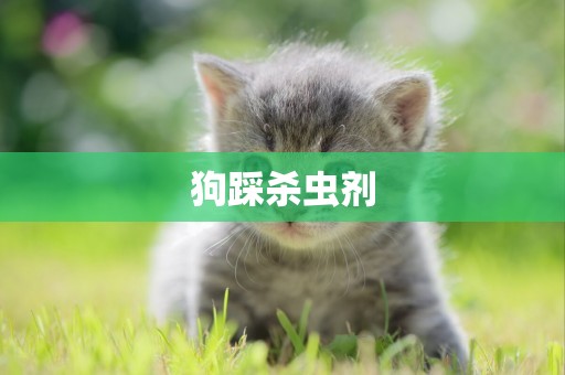 狗踩殺蟲劑