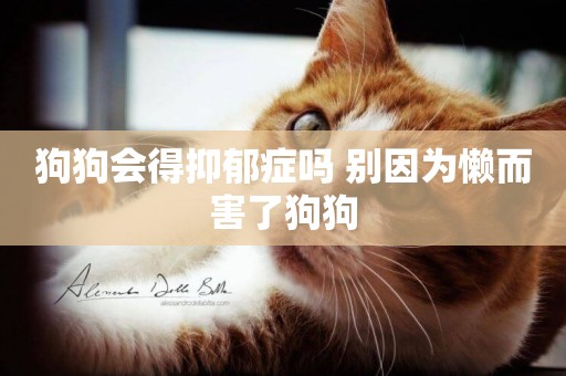 狗狗會得抑郁癥嗎 別因為懶而害了狗狗
