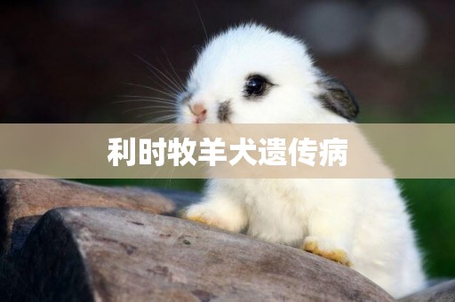 利時牧羊犬遺傳病