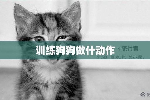 訓練狗狗做什動作