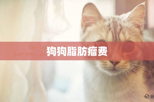 狗狗脂肪瘤費