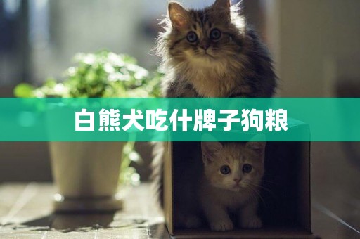 白熊犬吃什牌子狗糧