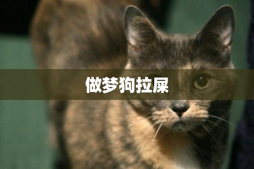 做夢狗拉屎