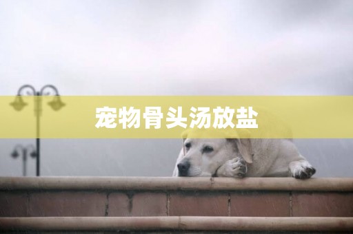 寵物骨頭湯放鹽
