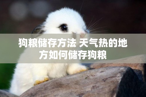 狗糧儲存方法 天氣熱的地方如何儲存狗糧