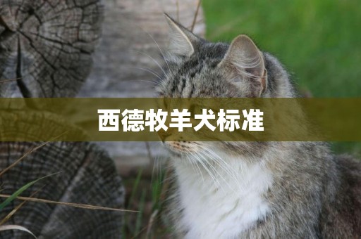 西德牧羊犬標準