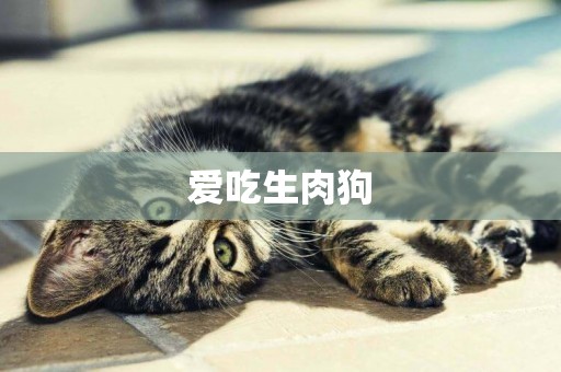 愛吃生肉狗