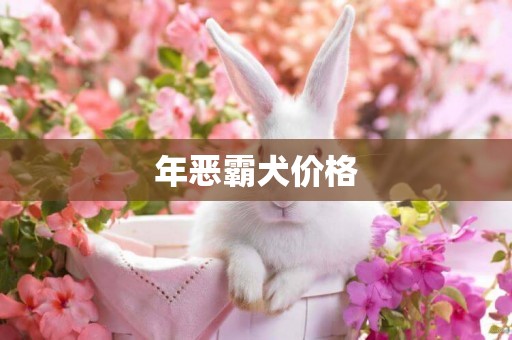 年惡霸犬價格