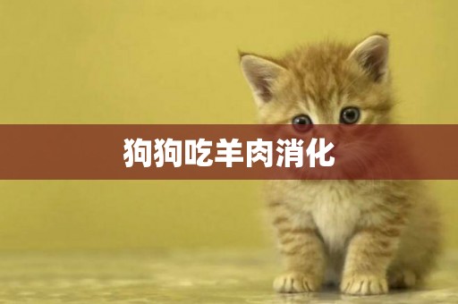 狗狗吃羊肉消化