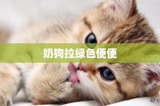 奶狗拉綠色便便