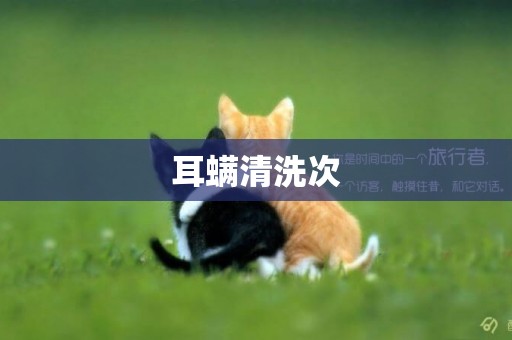 耳螨清洗次