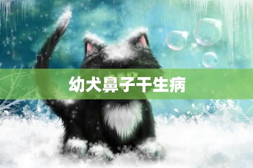 幼犬鼻子干生病