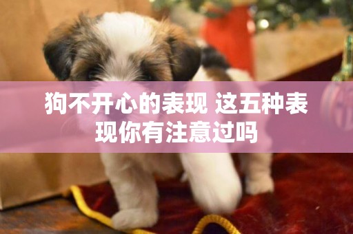 狗不開心的表現 這五種表現你有注意過嗎 狗不開心的表現 這五種表現你有注意過嗎