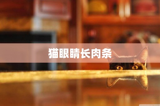 貓眼睛長肉條