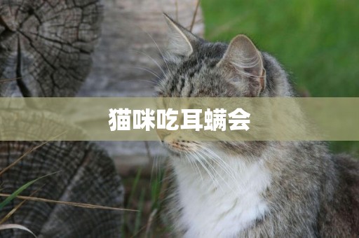 貓咪吃耳螨會