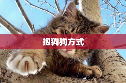 抱狗狗方式