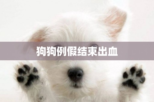 狗狗例假結束出血