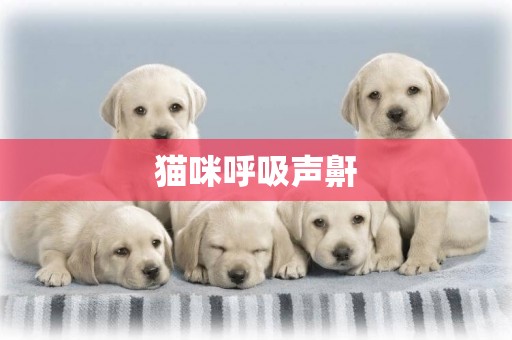 貓咪呼吸聲鼾