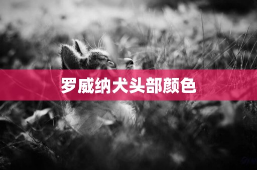 羅威納犬頭部顏色