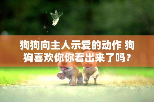 狗狗向主人示愛的動作 狗狗喜歡你你看出來了嗎？