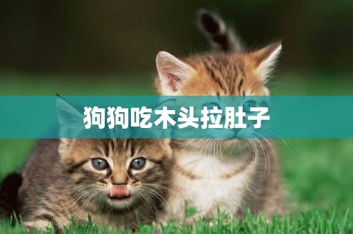 狗狗吃木頭拉肚子