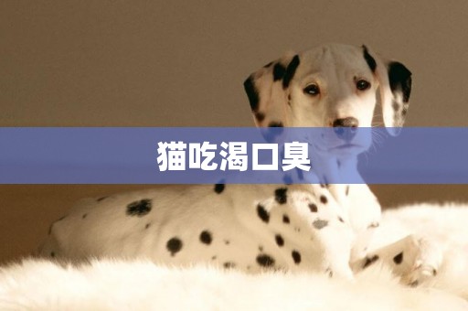 貓吃渴口臭