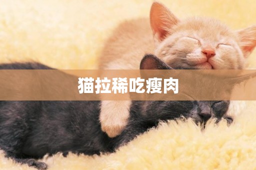貓拉稀吃瘦肉