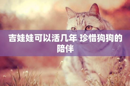 吉娃娃可以活幾年 珍惜狗狗的陪伴