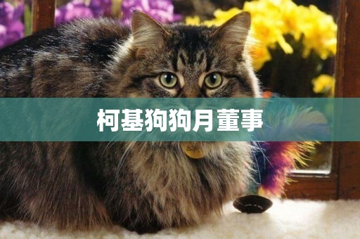 柯基狗狗月董事